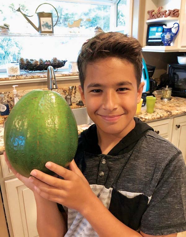 The World's Largest Bowl Of Guacamole Weighed In At 9,090 Pounds